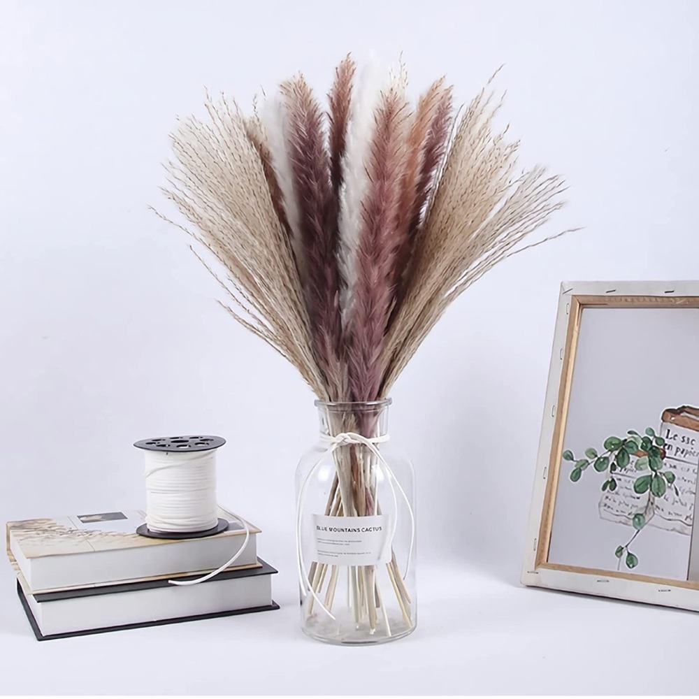 Dried Pampas Grass,17-inch Natural Total 60PCS